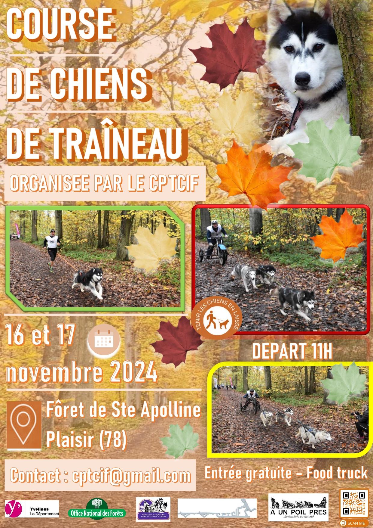 Affiche neauphle nov 2024