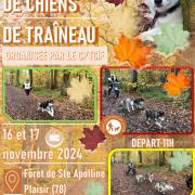 Affiche neauphle nov 2024