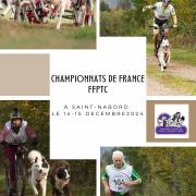 Affiche saint nabord 2024 championnat