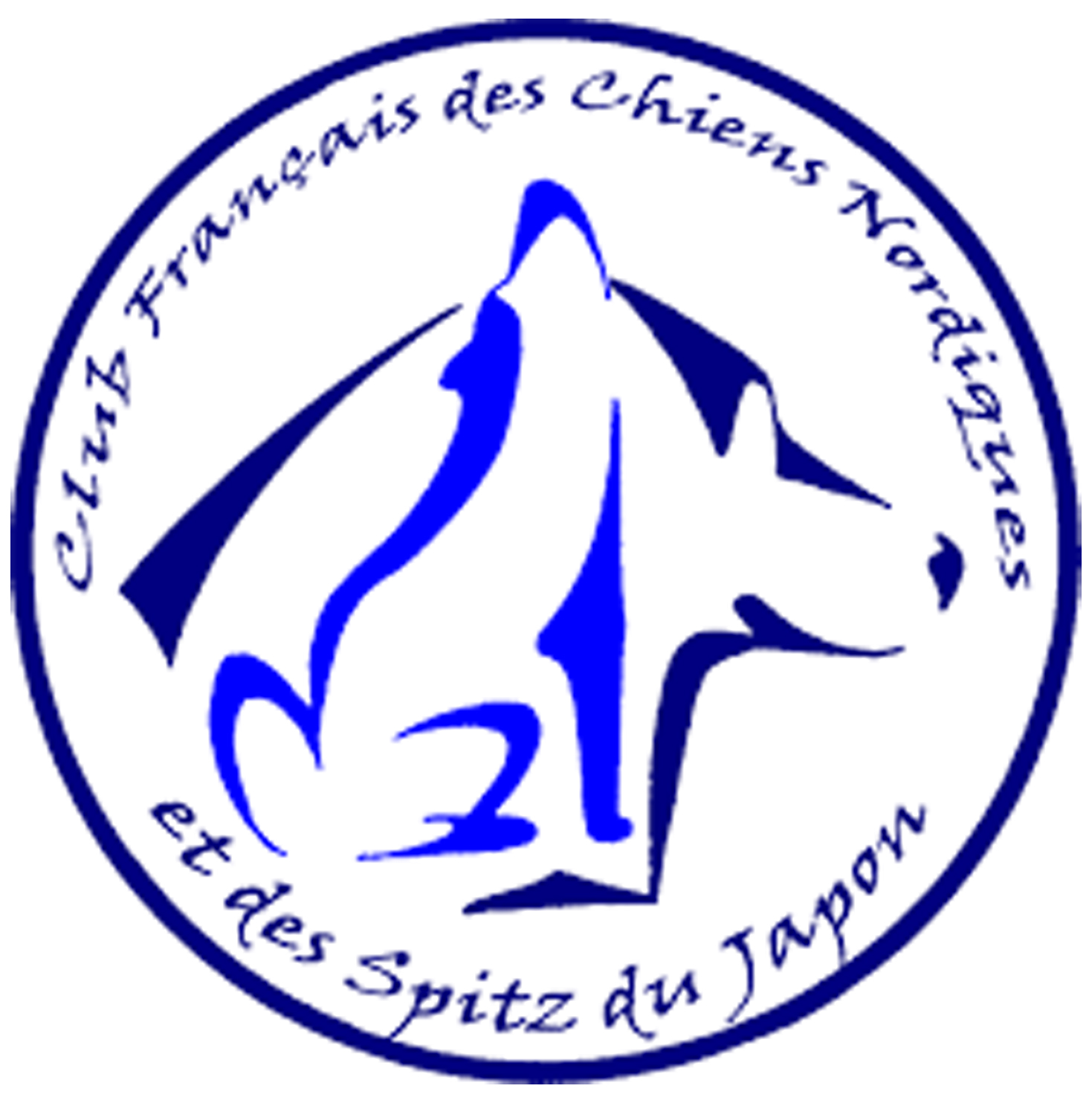 club français des chiens nordiques et des spitz du japon cfcnsj
