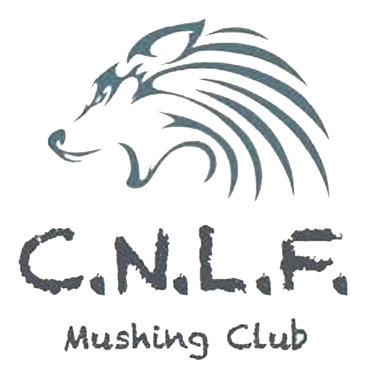 club nordique du livradois forez cnlf