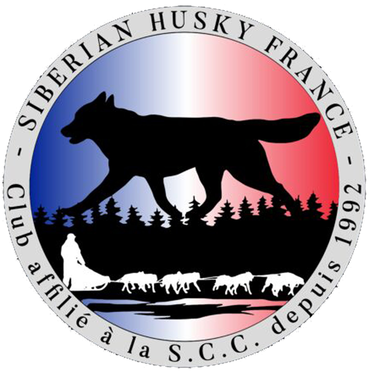 siberian husky france shf (1)