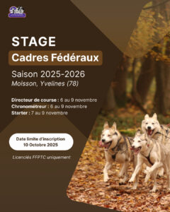 stage cadres fédéraux saison 2025:2026