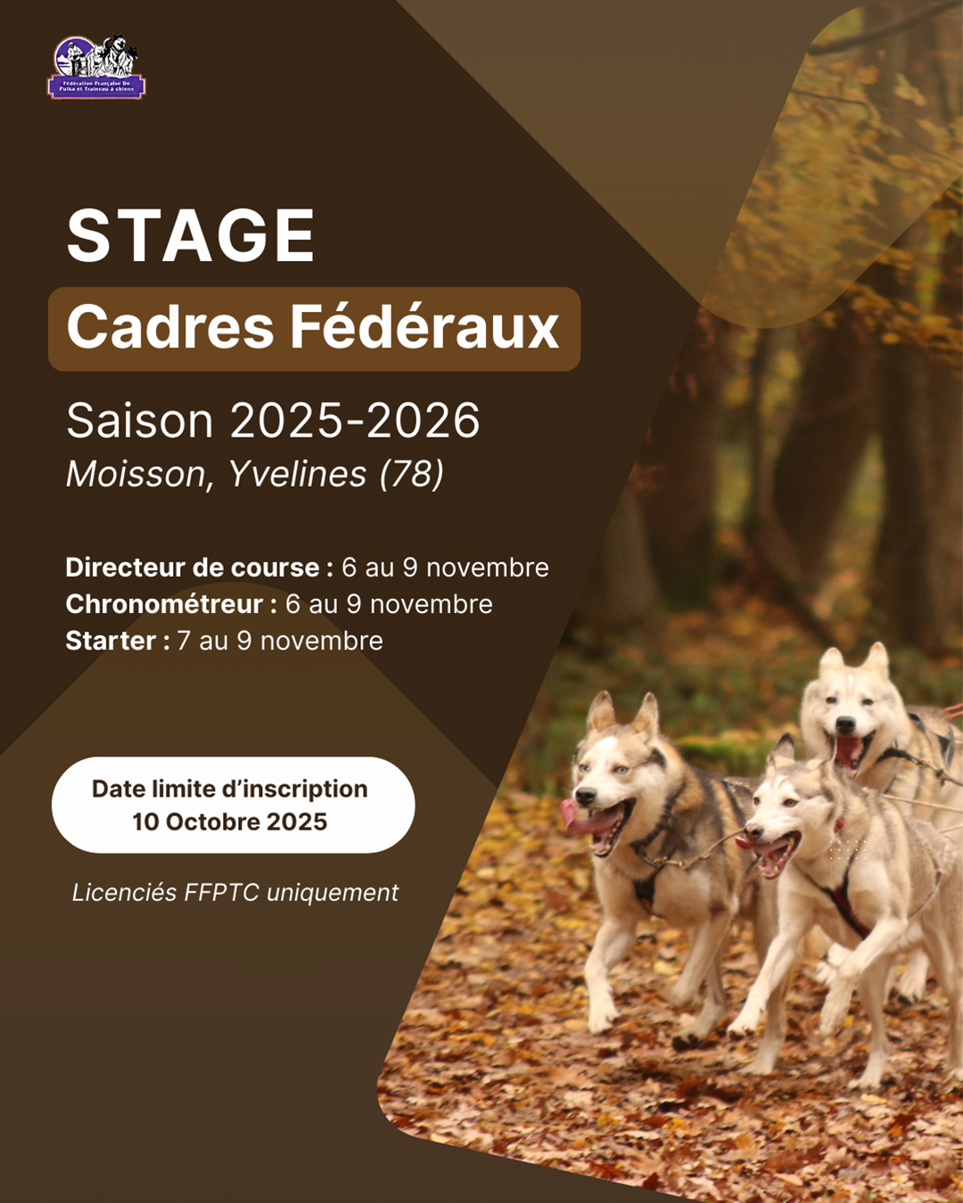 stage cadres fédéraux saison 2025:2026