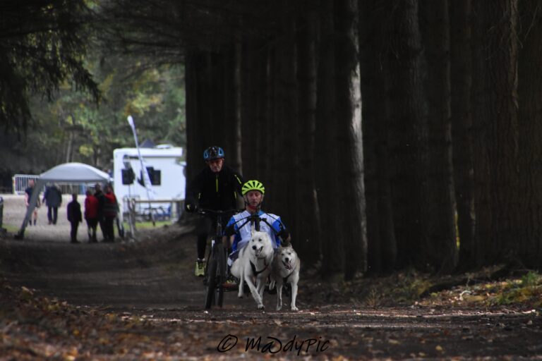 bruno hirsch fat 1 parasport