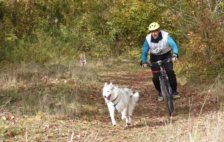 alain delbart yukon 1