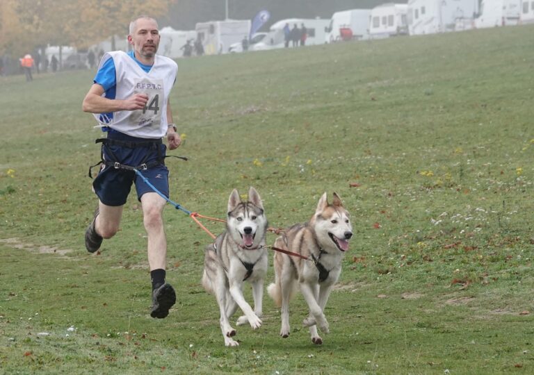 cédric devos fat 3