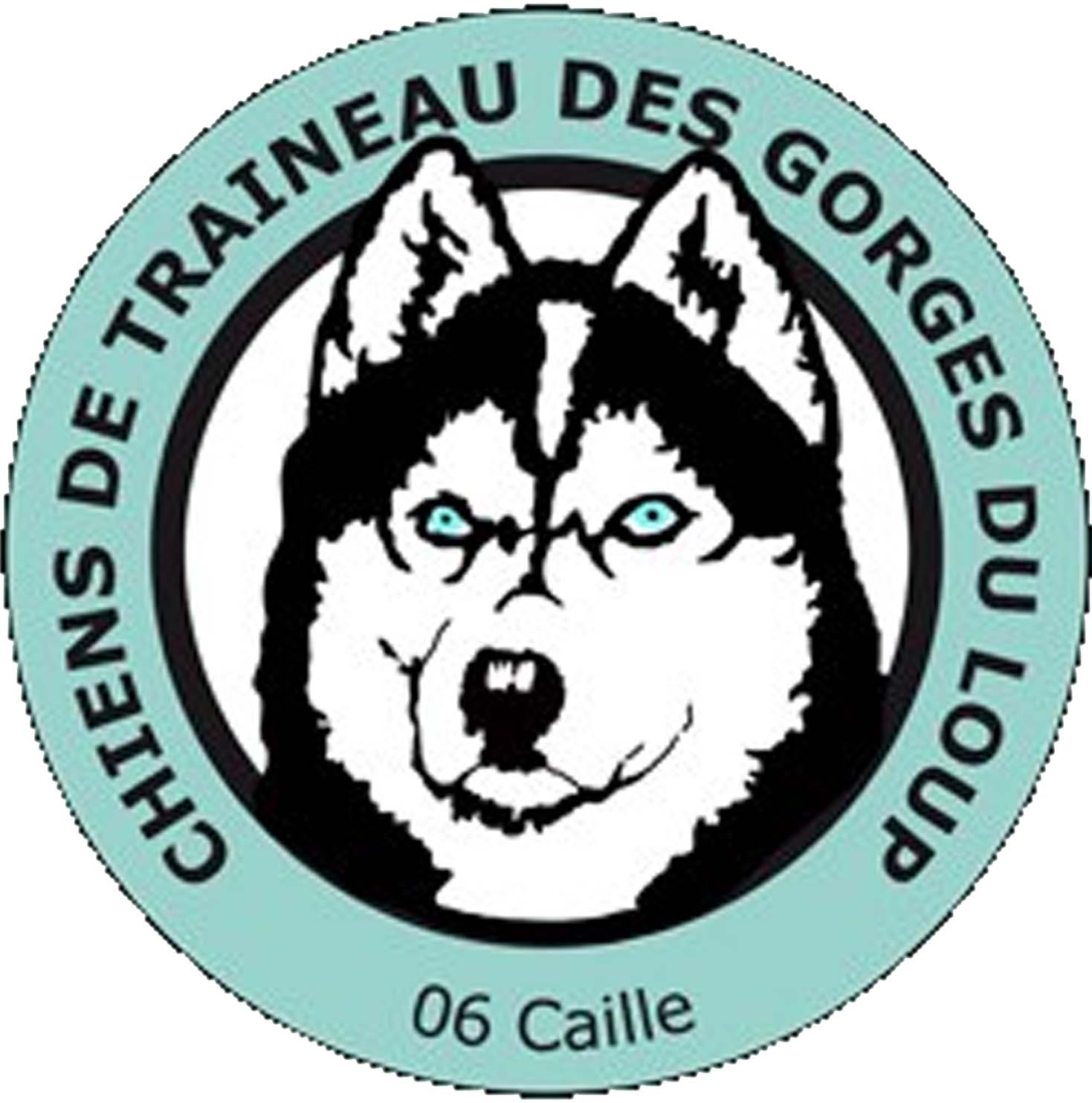 chiens de traîneau des gorges du loup ctgl