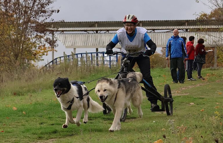 corinne fauvet fat 4