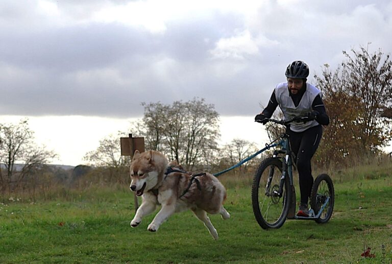 frédéric begue mgn 1