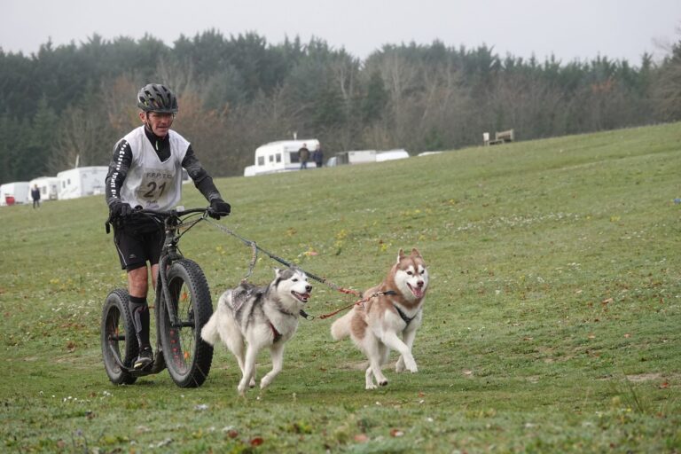 jean noël denis mgn 1