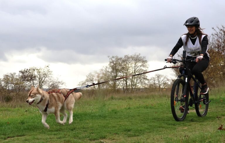 karen padilla lmdl 1