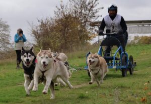 kevin pitard cptcif 3