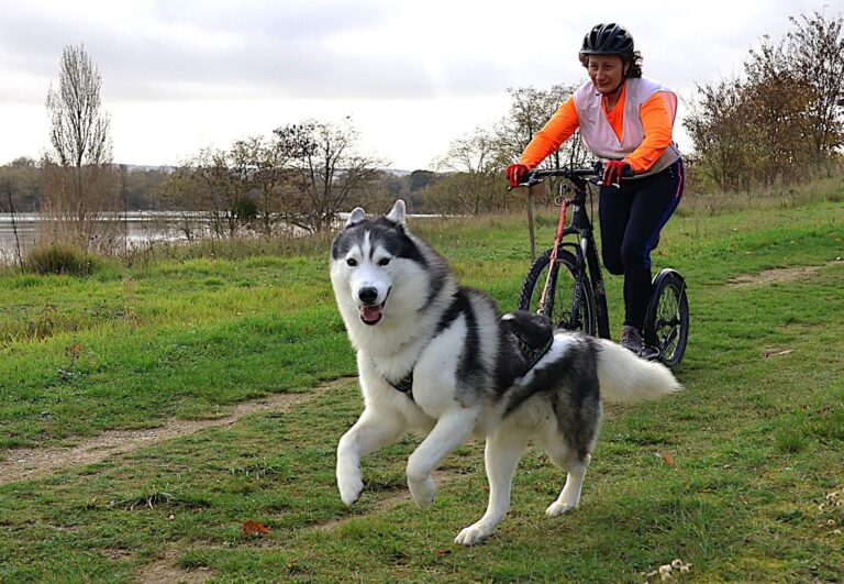 laurence perard cptcif 1