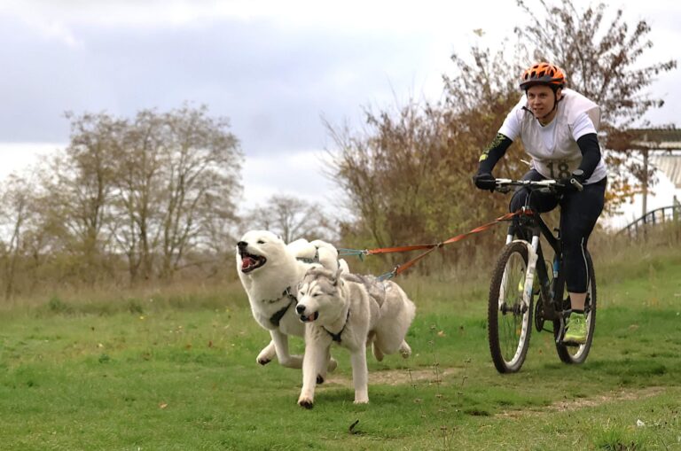 lucie mahuteau nvdl 1