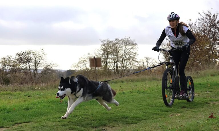 magali mary cptcif 1