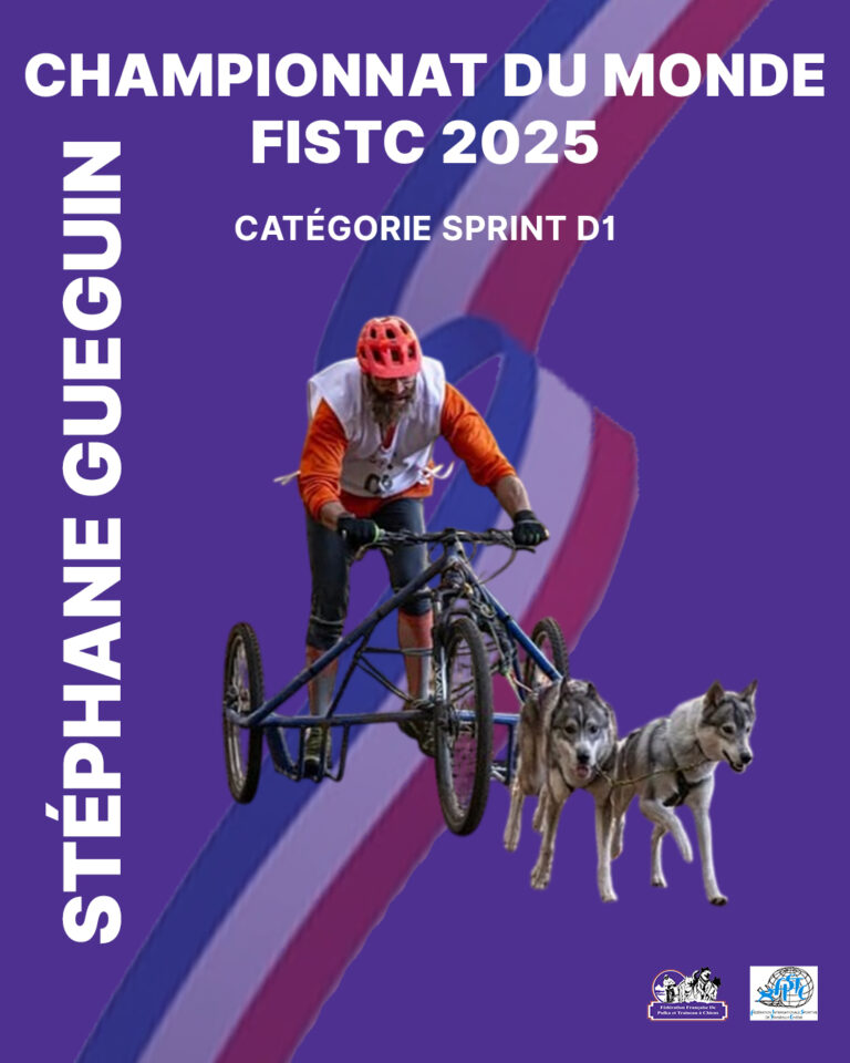 steÌphane gueguin 2