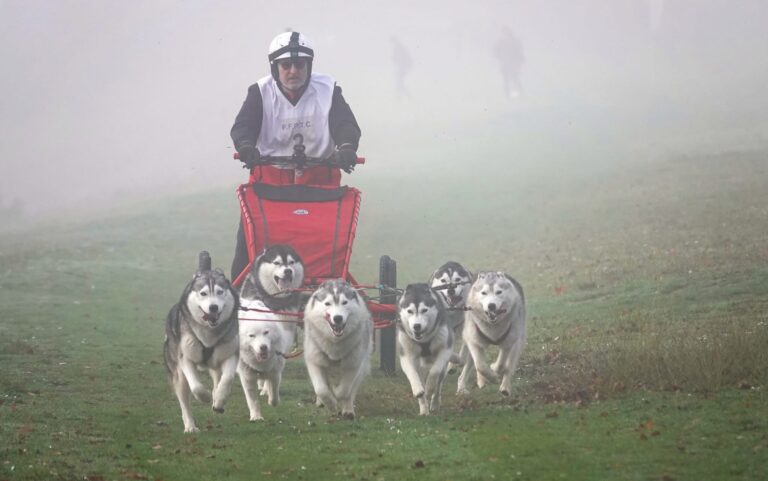sylvain stanesco yukon 1