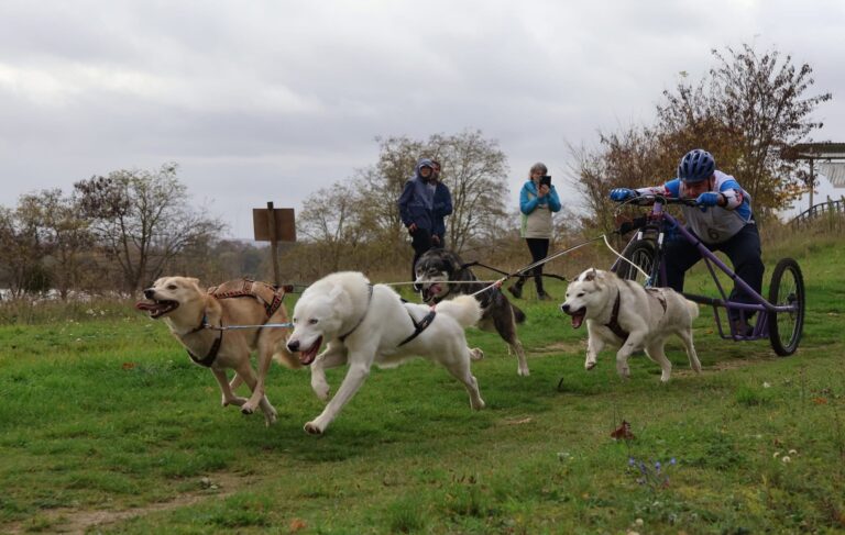 thierry bonnaire fat 4