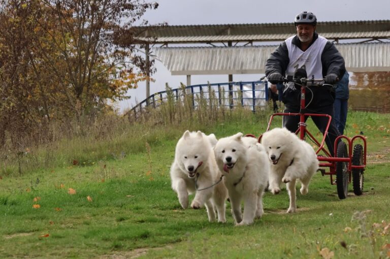 thierry chausson ctpmv 3