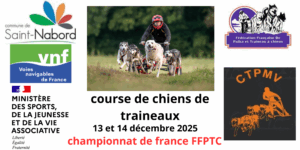 course de chiens de traineaux (2)