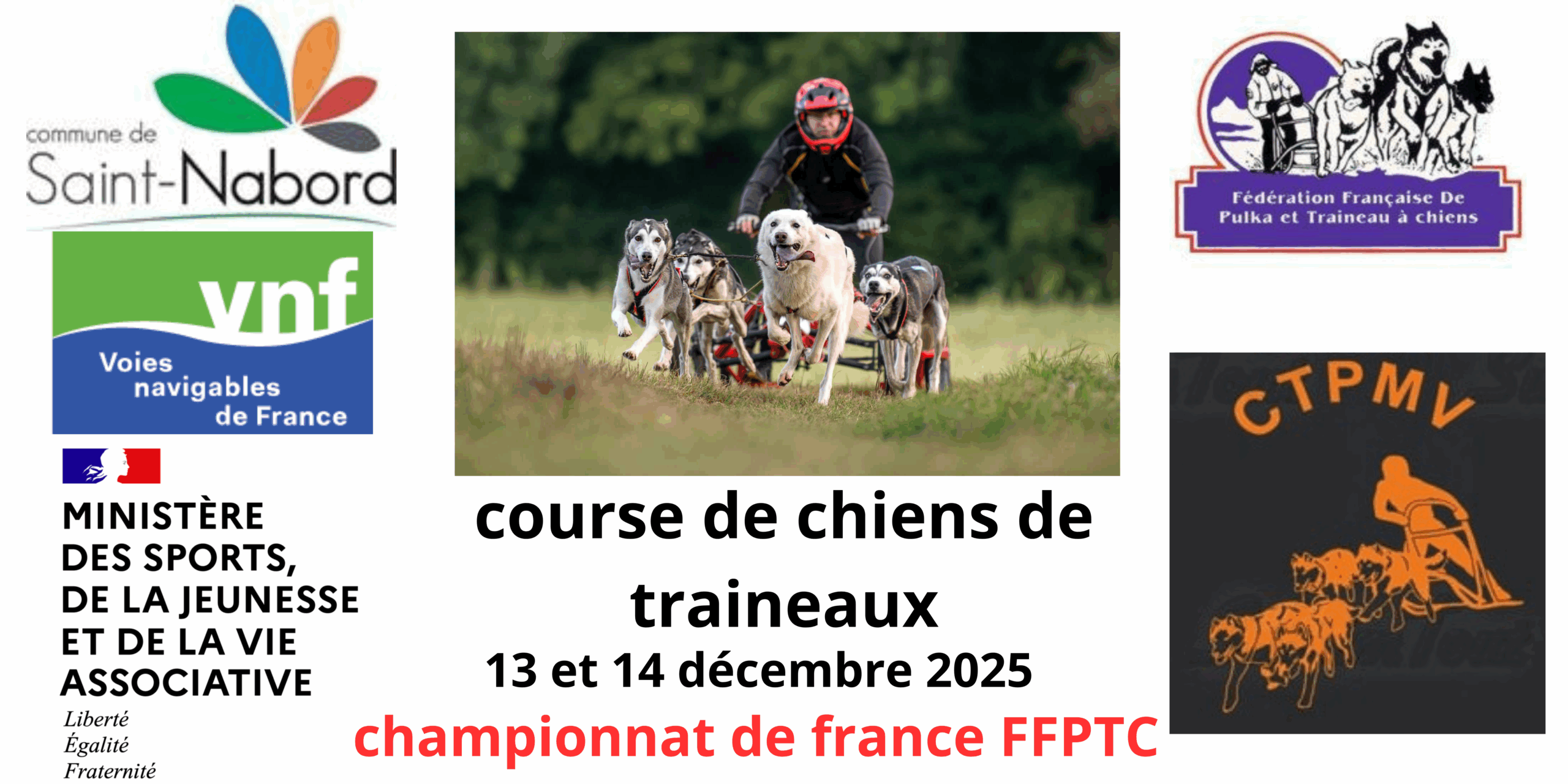 course de chiens de traineaux (2)