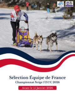 affiche équipe de france fistc neige 2026