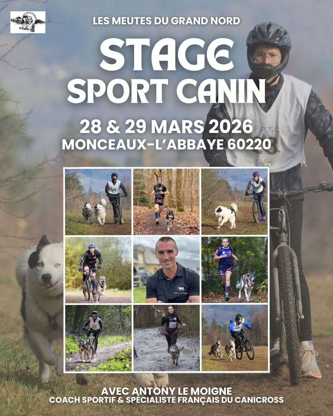 stage sport canin mgn 2026