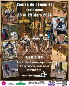 429f6068b61643e855325177261c1790