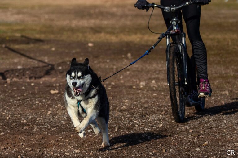 595687550 4354552688199486 6252897444880427323 n