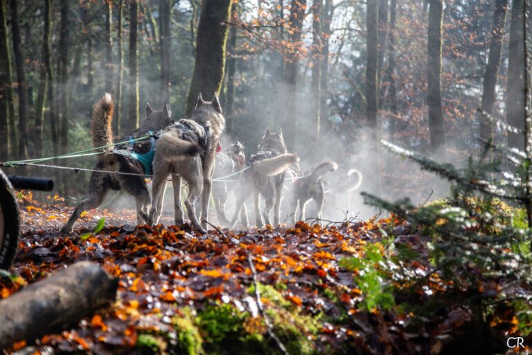 596805142 4354550061533082 5840730165746193128 n