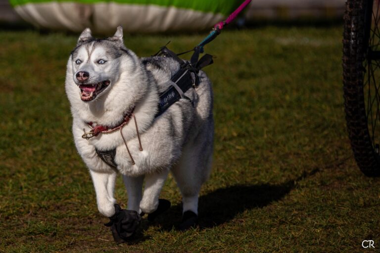 597287773 4354552944866127 2142901951171581335 n