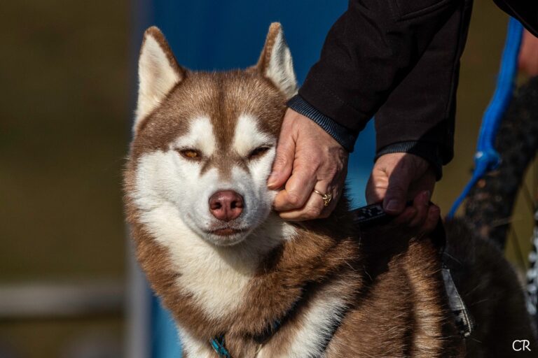 597671681 4354551461532942 4825482500564406491 n