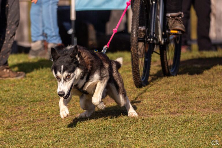 597780094 4354552741532814 3045442867816725891 n