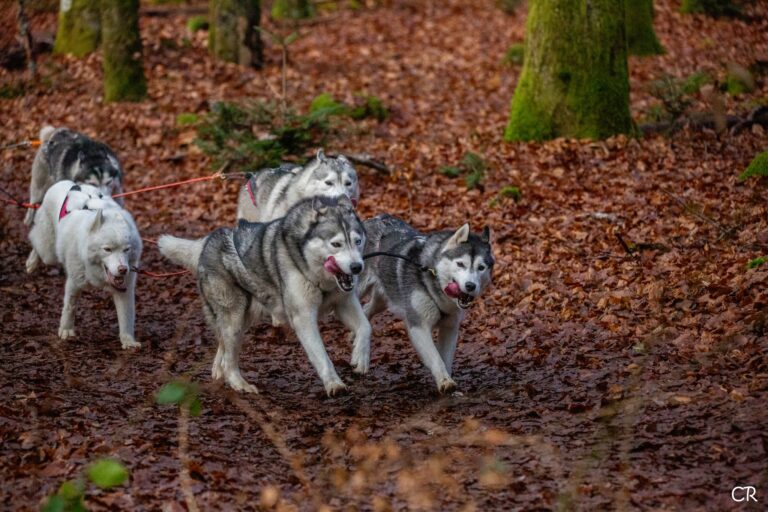 598892308 4354552301532858 851317564597979529 n