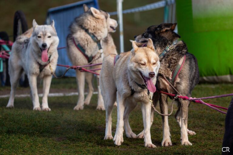 599909657 4354862194835202 3451698848130062697 n