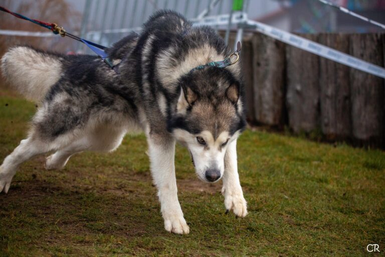 600270509 4355615818093173 1335129598835003773 n