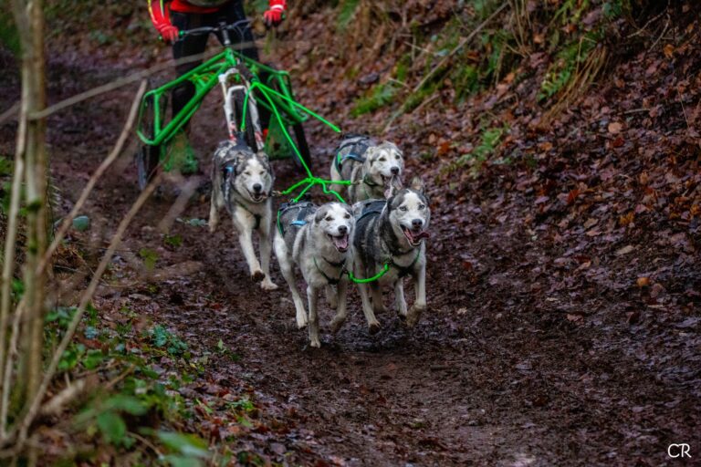 600317962 4354862961501792 4887282480100700480 n