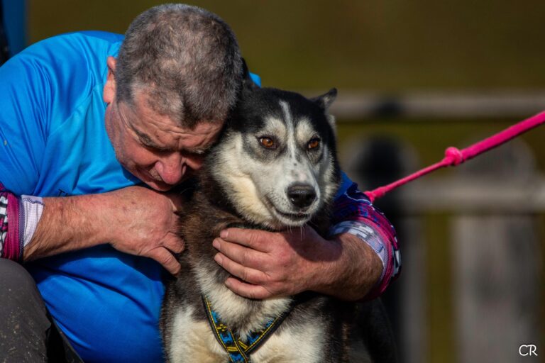 600424849 4354863038168451 6089181896733215986 n