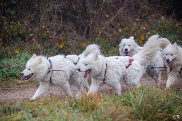 601030088 4355615561426532 764684189149982180 n