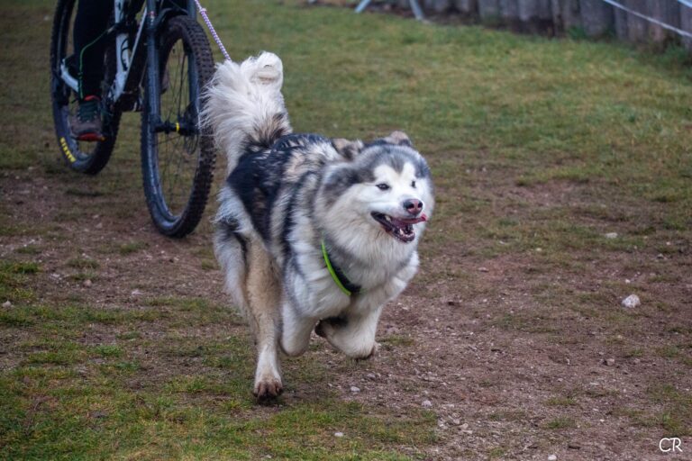 601329204 4355617208093034 8673306854890435651 n