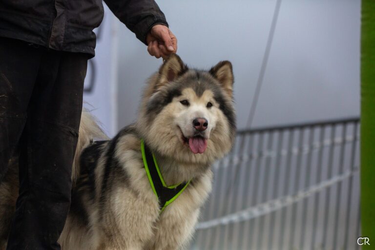 601348636 4355617344759687 5812251904075452214 n