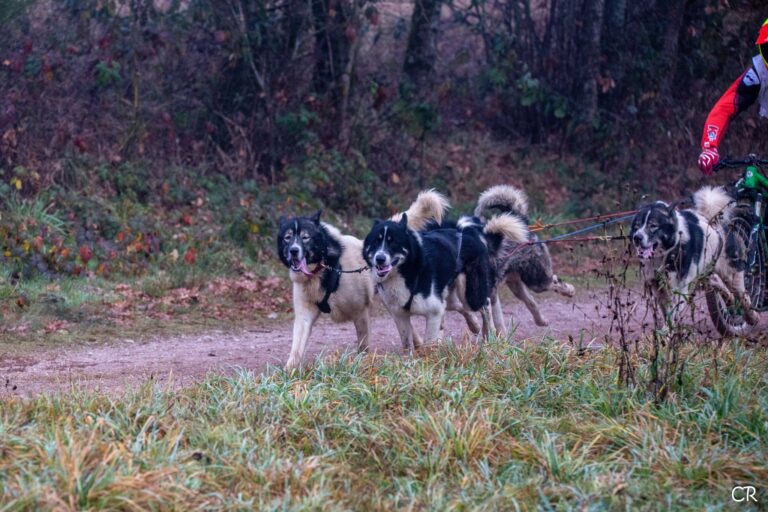 601362596 4355615418093213 1343693976810201271 n