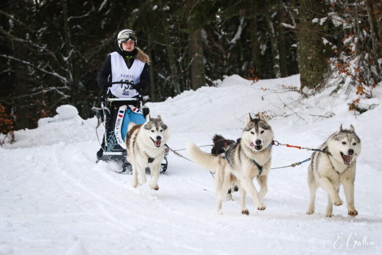 Résultats de la Course des Narces 2026 ❄️ 626781854 10243166168596687 3375584196261254885 n