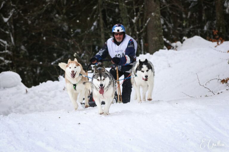 Résultats de la Course des Narces 2026 ❄️ 626790973 10243166152876294 5065862489946351308 n