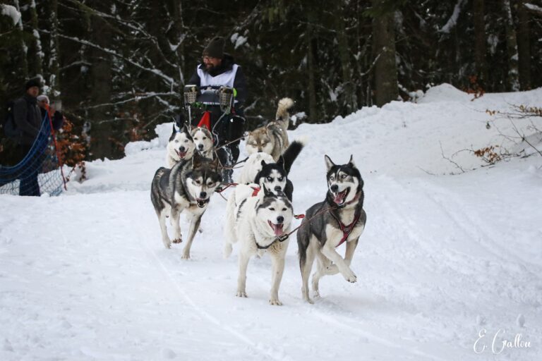 Résultats de la Course des Narces 2026 ❄️ 626803811 10243166127515660 1868233435041121982 n