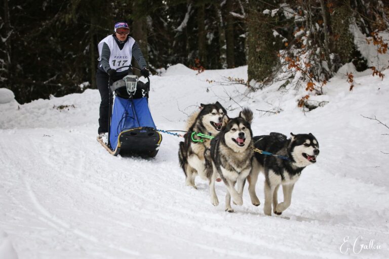 Résultats de la Course des Narces 2026 ❄️ 626812505 10243166144156076 7072207847077872091 n