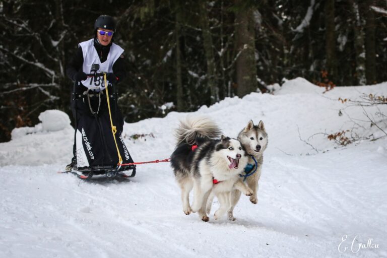 Résultats de la Course des Narces 2026 ❄️ 626817503 10243166149436208 6774832944879385809 n