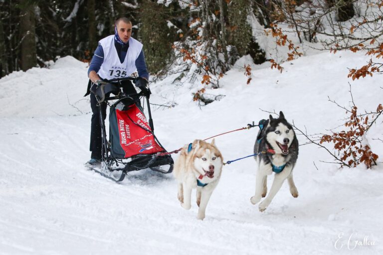 Résultats de la Course des Narces 2026 ❄️ 626819587 10243166171316755 157185741279994932 n
