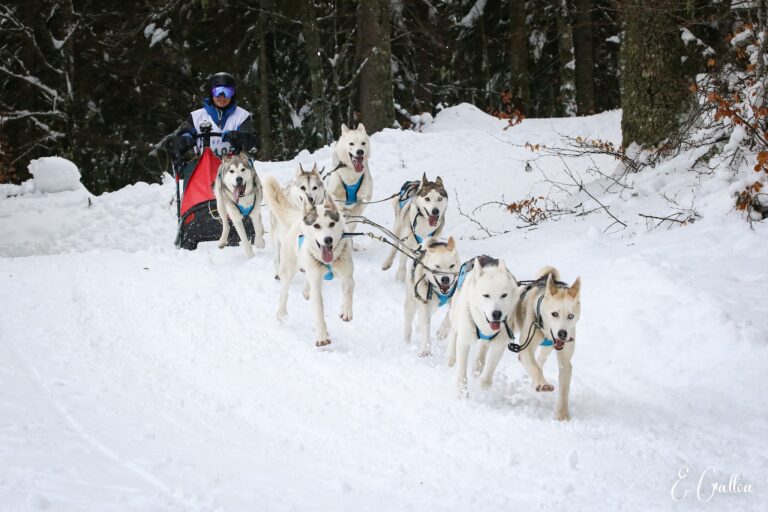 Résultats de la Course des Narces 2026 ❄️ 626839885 10243166130275729 4625887440113789720 n